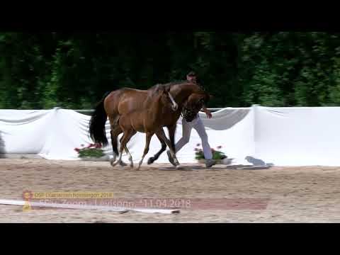 KN 75: SF von Zoom / Levisonn