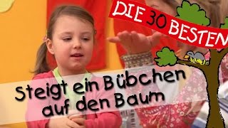 Steigt ein Bübchen auf den Baum - Singen, Tanzen und Bewegen || Kinderlieder