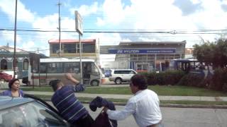 preview picture of video 'peleador callejero en valdivia'