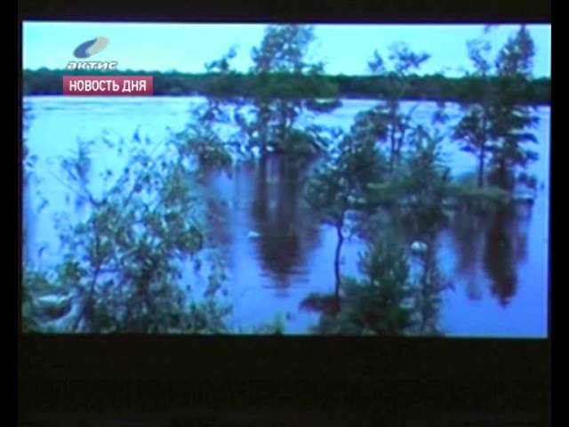 Помогли, чем смогли