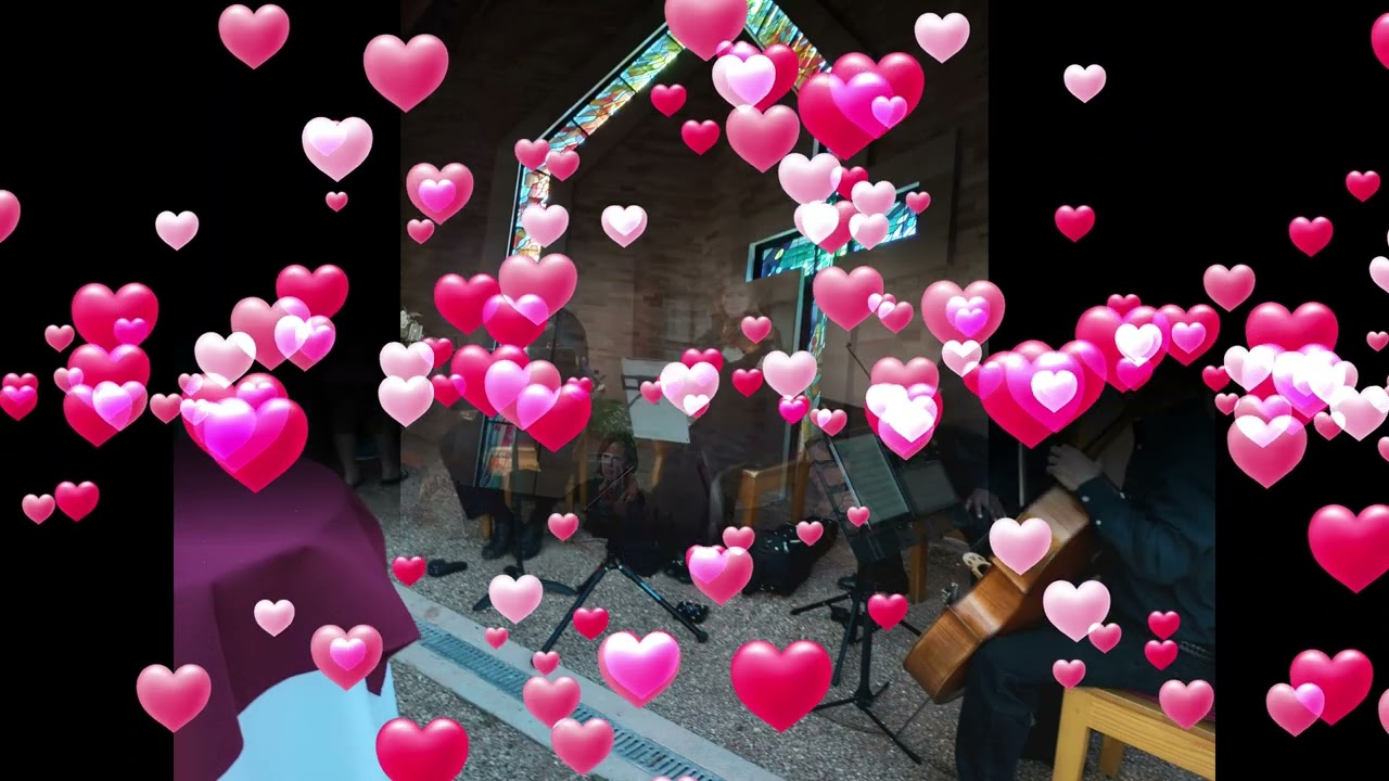 Promotional video thumbnail 1 for Cloud 9 Strings