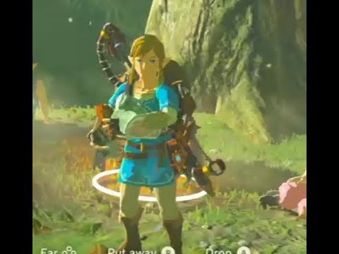 BOTW - Hold Prompt Entanglement Glitch Tutorial