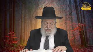 דף היומי בחצי שעה - יבמות  דף פ"ח