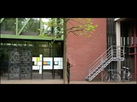 Warped Perception -Harsh Motion to SE Delight,FGFC820 Society, Imperative Reaction Judas