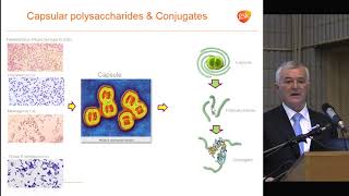 "Reverse Vaccinology" Dr. Rino Rappuoli