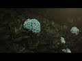 Homesick - Loving Caliber ft. Mia Niles /Lyrics video. Homesick - Loving Caliber ft. Mia Niles /Lyrics video.