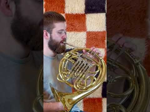 RS Berkeley Double French Horn F/Bb 4 Valve With Case And Mouthpiece (See Video) image 24
