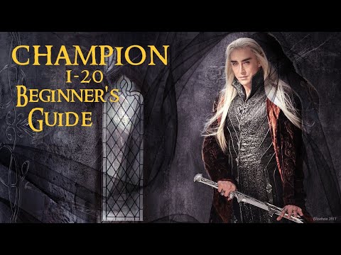 Lord of the Rings Online 2022 Champion 1-20 beginners guide