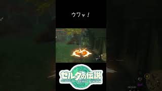 ガチ恋距離コログ #ゼルダの伝説ティアーズオブザキングダム