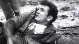 Fear of Anarchy : Sleaford Mods