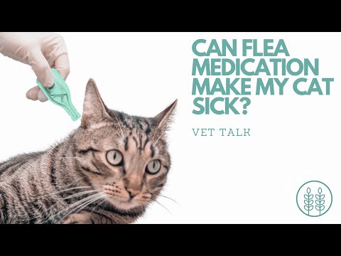 Can flea medication make my cat sick?