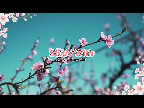 Study With Me 🌸 Japan Cherry Blossoms 4K | Relaxing Piano Music for Focus & Concentration