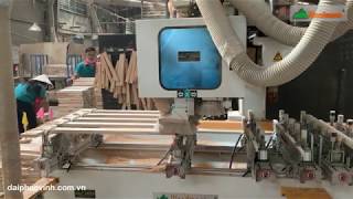 MÁY LÀM MỘNG, KHOAN LỖ 10 ĐẦU | WM-5X2CNC | WOODMASTER