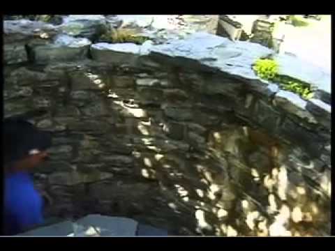 Wing's Castle Video 1