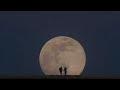 Meet Me In The Pale Moonlight By Lana Del Rey But It S Dreamy