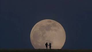 meet me in the pale moonlight by lana del rey but it’s dreamy