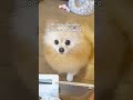 Lost My Job At The Bank Because Of This Reason