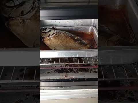 SEGUNDA-FEIRA DO RELAXO: Matrinchã no Molho e Pacu Assado: Ouro de Goiás! 🐟🔥