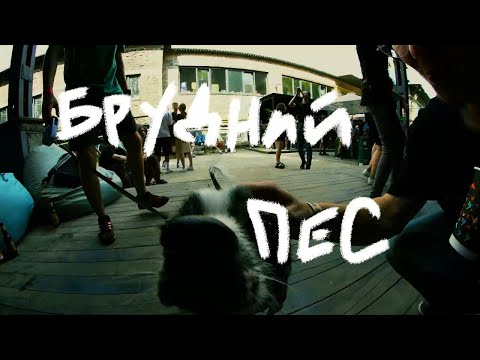 VLOG: ФЕСТИВАЛЬ БРУДНИЙ ПЕС У КИЄВІ