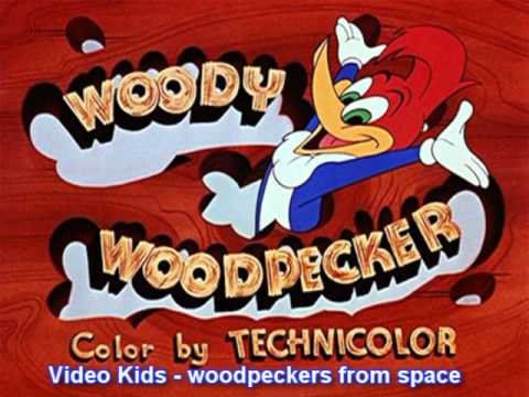 Woodpeckers from space HQ - Video Kids