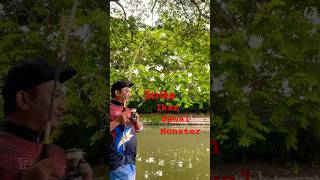 Download lagu Strike fish monster #mancing #fishing #fish #bigfish #monsterfish #mancingmania #senarpancing mp3