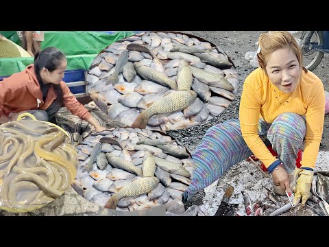 AMAZING! wholesale fish market at night in Cambodia-WalkingTour in Kandal Province- Fish,Snakes&More