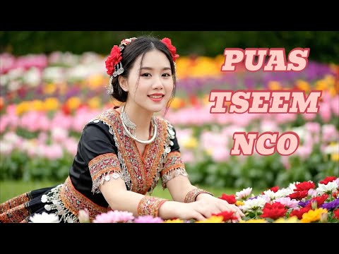 PUAS TSEEM NCO - NTEV NTEV LAWM TSIS TAU NTSIB KOJ | HMONG MUSIC VIDEO 4K