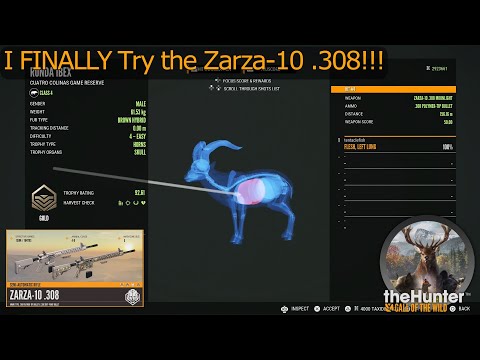 I FINALLY Try the Zarza-10 .308! theHunter Call of the Wild
