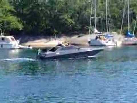 Tinnitus på Lökholmen