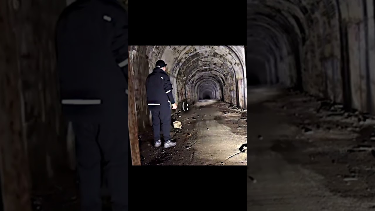 こっちに向かってくる