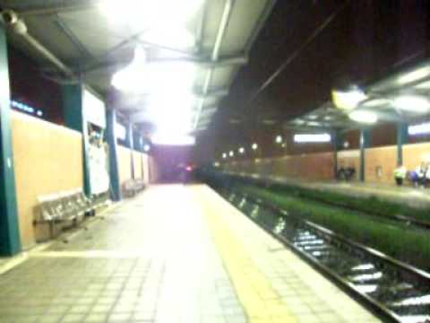 Video notturni a ParcoLeonardo