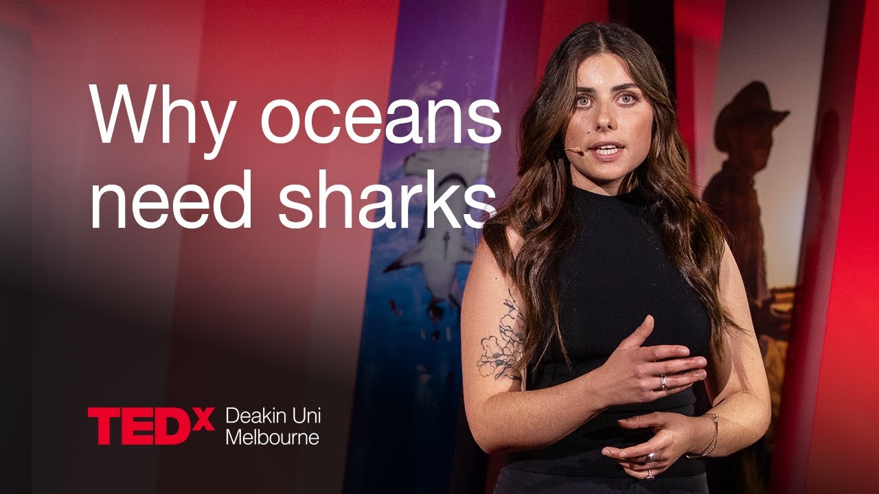 Why sharks and rays keep our oceans alive | Louisa Graf | TEDxDeakin Uni Melbourne