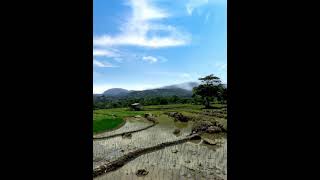 Download lagu Story WA pemandangan indah mp3