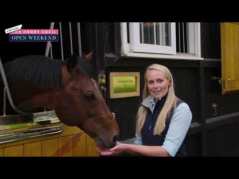 Behind the scenes at Dalham Hall Stud | Henry Cecil Open Weekend