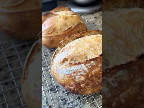 Dutch Oven vs. Bread Oven Sourdough Bake-Off #sourdough #breadbaking #viraltiktok