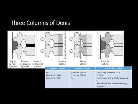 Thoracolumbar Spine  Part 1