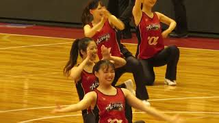 「越谷アルファーズ」 チアリーダー