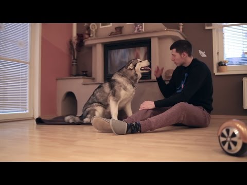 Samo Sam -  Včasih pozabmo živet