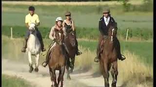preview picture of video 'La randonnée à cheval dans les Alpes de Haute-Provence'