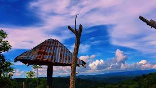 Download lagu CINEMATIC ALAM 30 DETIK PEMANDANGAN INDAH | CINEMATIC ALAM mp3 Download lagu CINEMATIC ALAM 30 DETIK PEMANDANGAN INDAH | CINEMATIC ALAM mp3