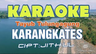 Download lagu KARANGKATES TAYUB TULUNGAGUNG KARAOKE mp3