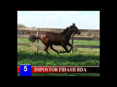 LOTE 5 - IMPOSTOR FIDASH RDA  - 2015 -RINCON DEL AGUARA – LOS MONTEROS