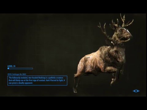 Fallout 4 - Meet Professor Goodfeels