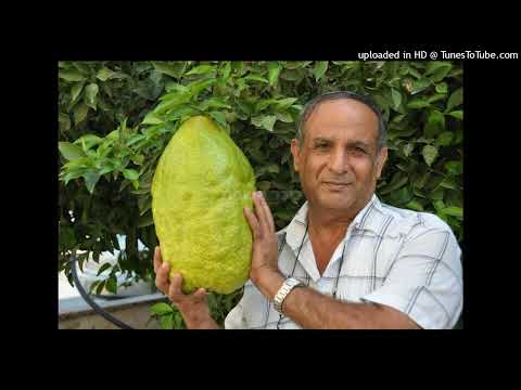 Greenspan on juiced up esroigim