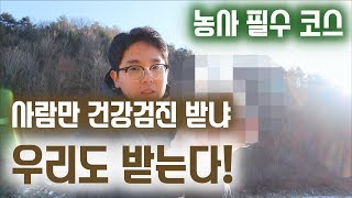 농사지을 때 가장 중요한 필수 코스 / 귀농 꿀팁