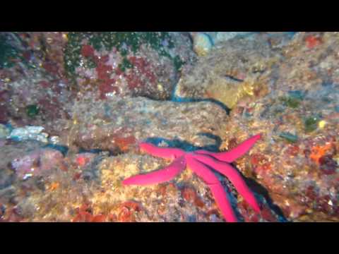 Mallorca 2014, Mallorca-Port d´Andratx,Spanien