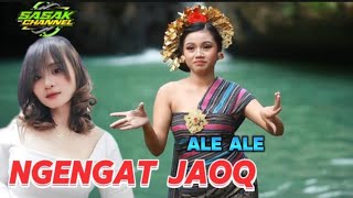 Download lagu NGENGAT JAOQ ALE ALE TERBARU 2024 HAMKA FEAT SALWA (AUDIO VIDIO ) mp3