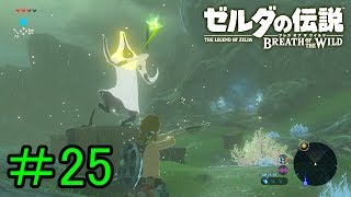 【実況】見落としが多い勇者の冒険part25【ブレスオブザワイルド】