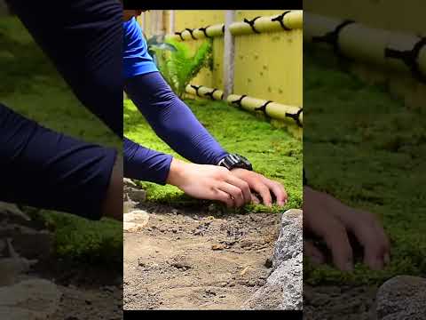 モダンな造園ガーデンフェンスコールテン鋼観賞用草