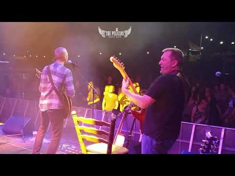 The Pelicans | a blast from the past | Summer 2019